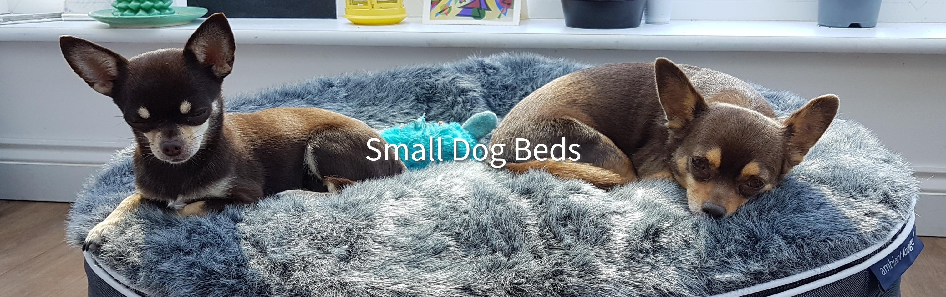 Luxury dog beds for small dogs best sale